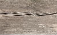 photo texture of wood bare